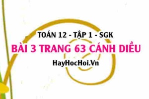 Bài 3 trang 63 Toán 12 tập 1 Cánh Diều